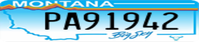 Truck License Plate